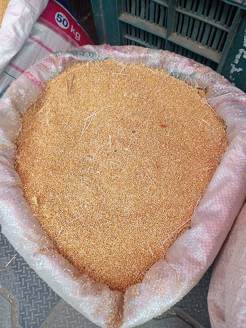 Millet grain