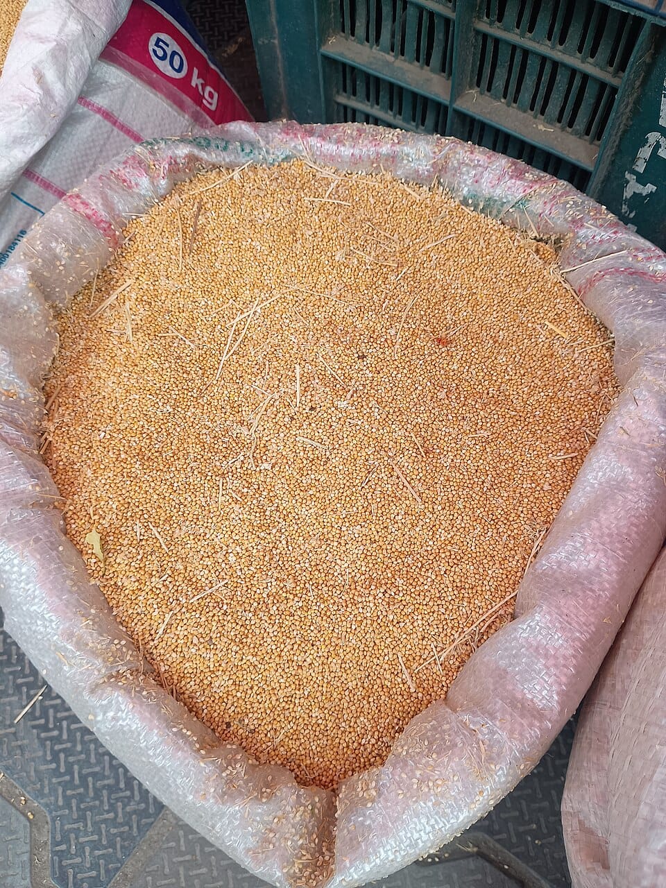 Millet grain