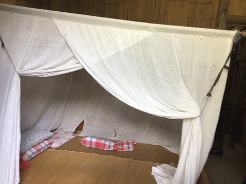 A mosquito net over a bed